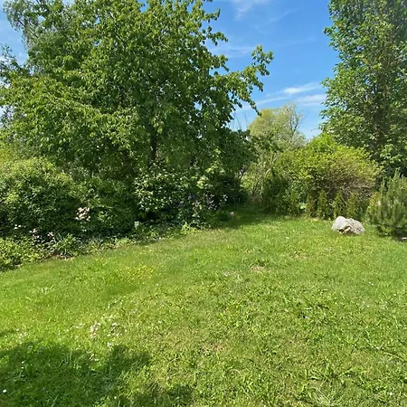 Holiday home Auerhahn Ferienhaeuser Auerhahn 116